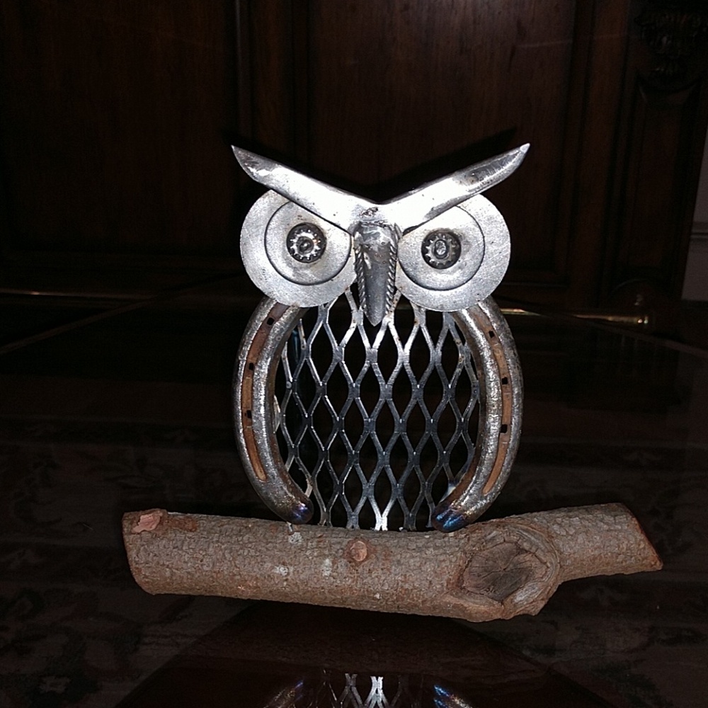 Horseshoe art owl